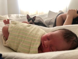 Babies Galore