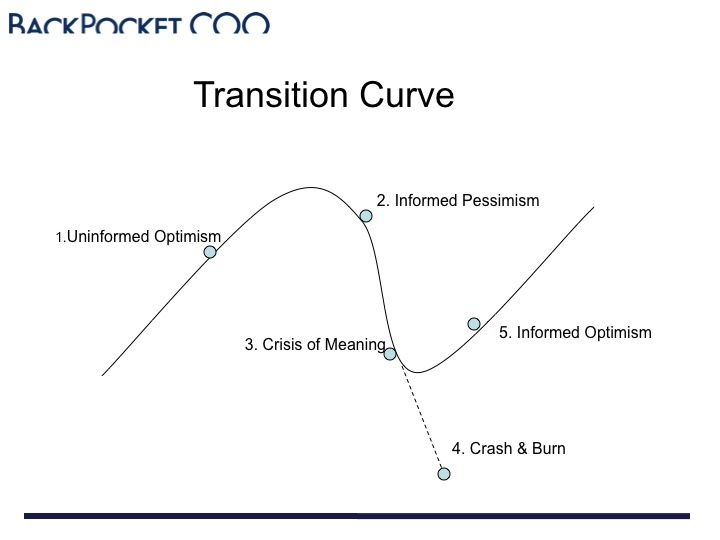 Transition Curve of Entrepreneurial Roller Coaster